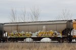 IC 799580